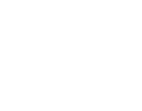 Logo Mars Impact